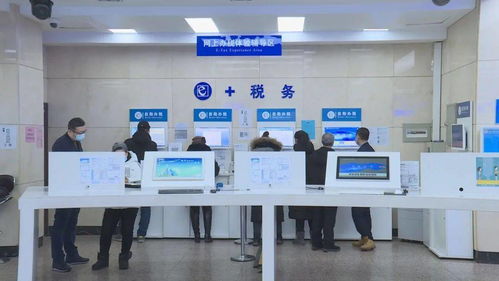 黑龙江省全面上线增值税电子专用发票，为信息咨询服务行业注入数字化新动能